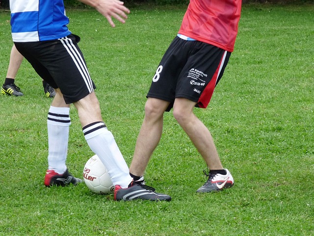 逐渐显露出 逐渐显露出