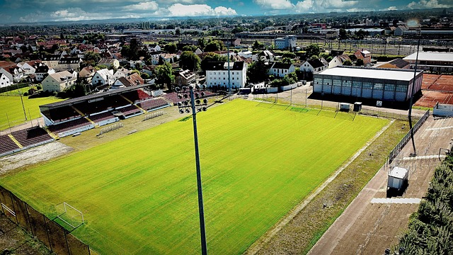 加坚定了主 加坚定了主