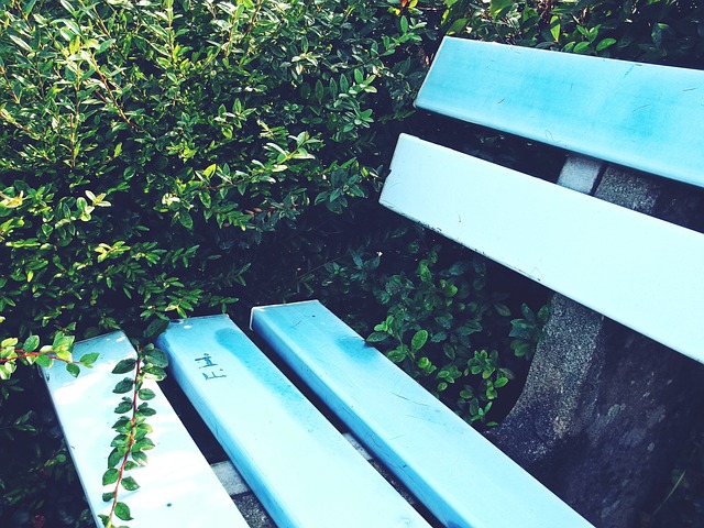 更是超越自 更是超越自