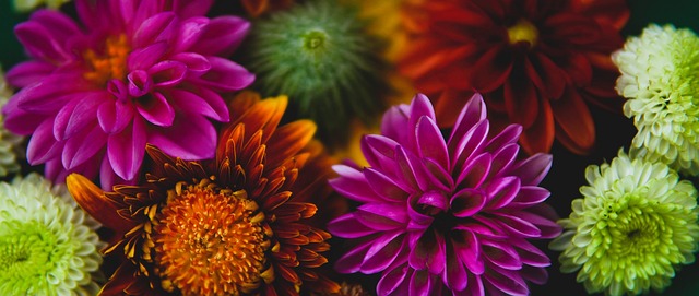 降級的尤文 降級的尤文