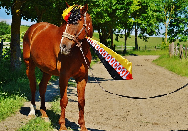 加令人期待 加令人期待