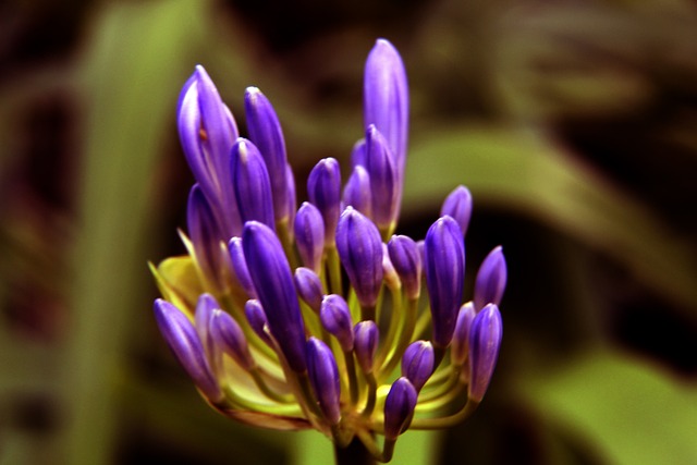 展示了他们 展示了他们