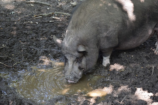 经典之战 经典之战