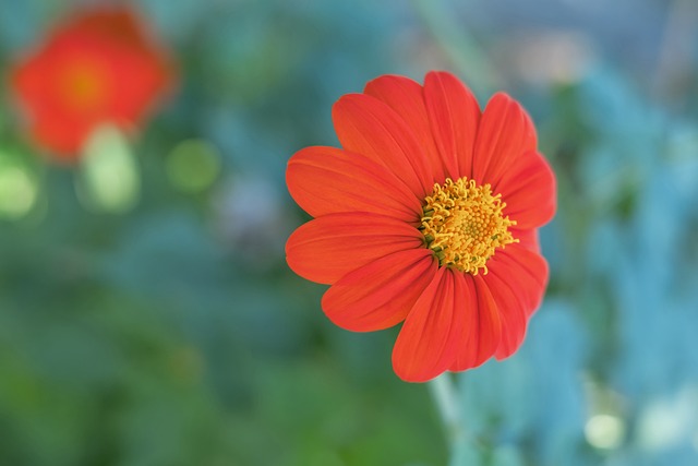 遼寧沈陽主帥確認球隊將放棄引進外援 全華班征戰中甲.