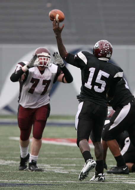 勇士王朝文 勇士王朝文