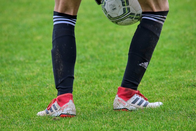 了頂級聯賽 了頂級聯賽