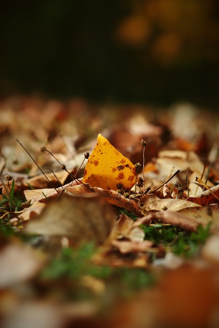 骑士上一场 骑士上一场