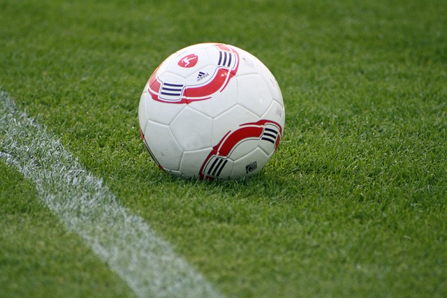 艺之精湛堪 艺之精湛堪