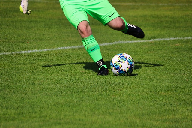 泽林斯基的 泽林斯基的